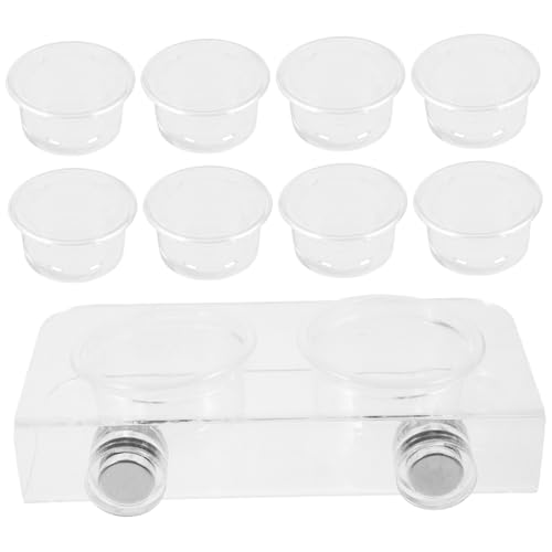 PERSELOSO 1Juego Soporte para Alimentación De Reptiles Comedero para Gecko con Tazas De Comida para Terrarios y Criaderos De Serpientes