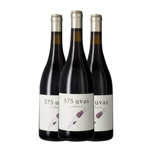 Cámbrico 575: Vino Tinto de Castilla y León – Caja de 3 Botellas de 75cl Cámbrico 575: Vino Tinto de Castilla y León – Caja de 3 Botellas de 75cl