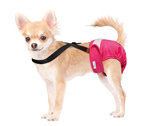 Image of Paw Inspired Dog Diaper Suspenders, Hook & Loop Fasteners, XS /Small, Black | Stretchy Adjustable Straps, Velcro Closures, For Female and Male Disposable and Washable Diapers