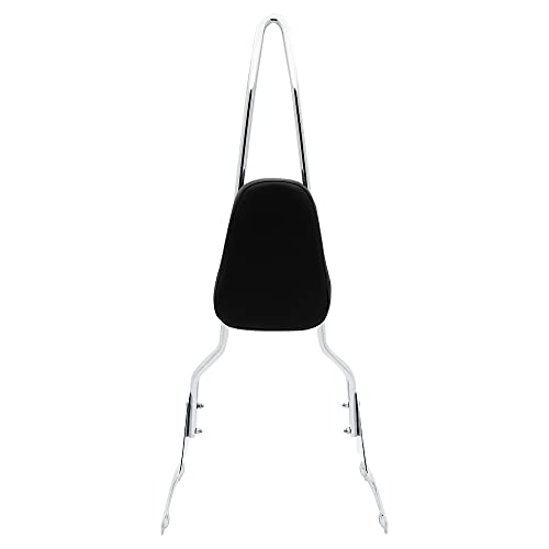 FENGREN Detachable Passenger Sissy Bar