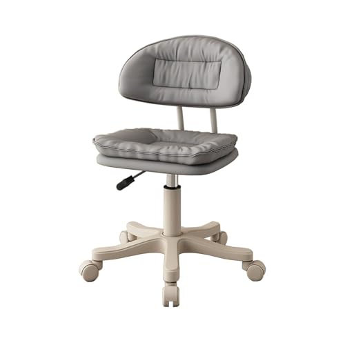 LQVAIPT Silla Dental giratoria, Taburete con Forma de Silla, Silla rodante de Altura Ajustable con Respaldo for Uso en salón y Maquillaje(Chrome)