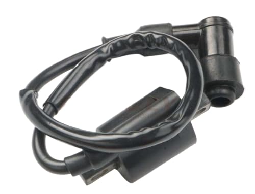 �W���@�\�R�C�� 50 Aerox BWS Breeze Neos 50 TZR Vino PW DT 50 AM6 Neos TZR Vino PW 50 1PIN �ɑΉ�(common)