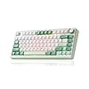 LEOBOG x Aula F75 Gaming Keyboard, 75% Wireless Keyboards RGB Backlit with Knob, Tri-Mode Hot Swappable Mechanical Keyboard for PC Gamer - Green