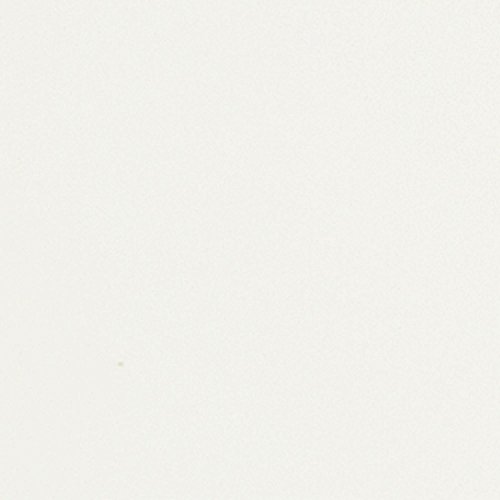 Westinghouse Lighting 7802400 Downrod Mount, 5 White Blades Ceiling Fan, White 52 Inch #TOP2