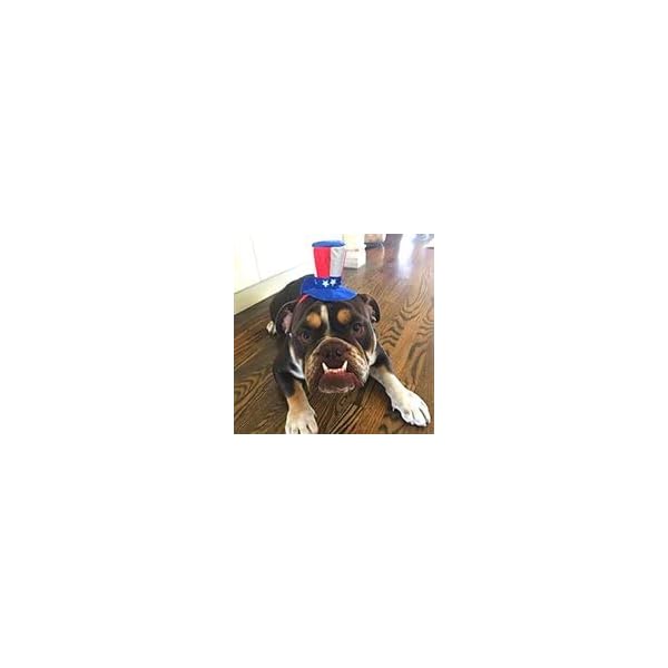 Midlee uncle sam 4th of july hat for large dogs headband- captain halloween costume - image 5