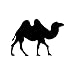 Adesivo con cammello e animale adesivo, con logo 1, dimensioni: 17 cm, colore: bianco