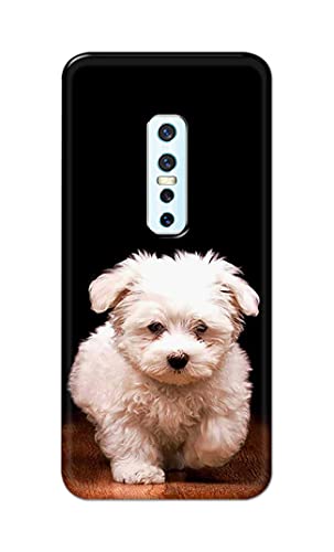 Image of PRINTFIDAA� Printed Hard Back Cover Case for Vivo V17 Pro Back Cover (Puppy Dog) -2808