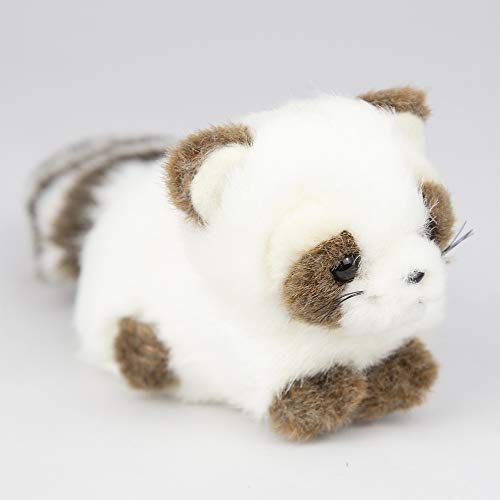 たけのこ プチプチらんど A アライグマ 白 ぬいぐるみ 58434