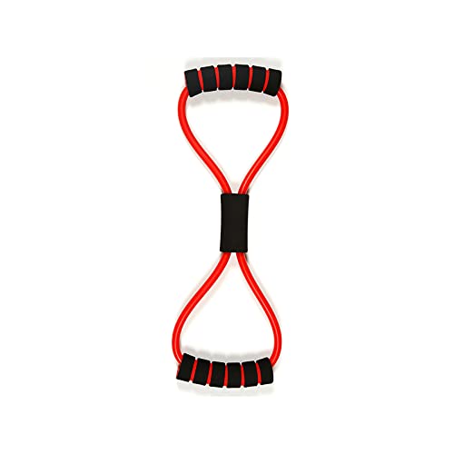 Image of Double Tummy Trimmer & Ab Wheel Roller & Toning Tube Abs Exerciser Burn Belly Fat Off Extra Calories Abdominal Weight Loss Abdominal Abs Exercise Equipment Home Gym Men Women