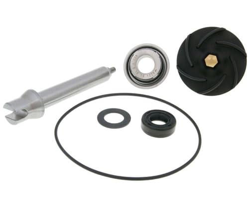 Wasserpumpe Reparaturkit kompatibel für Piaggio X8/X9 400-500ie ZAPM521/ZAPM270 Roller
