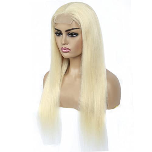 Aiokrtse 4X4 Lace Front Wigs 100% Human Hair Wig with Baby Hair Peruvian Hair Pre Plucked Free Part Straight Wig #613 Colour 12 inches