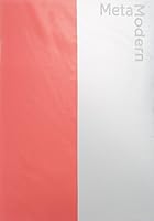 Metamodern 1883015472 Book Cover