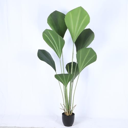 [LJKI] ap lHϗtA tFCNO[ L R Q쏜sv ϗtA ϗt tFCN 傫  rO sv ϗA ^ V̖ JXj 180cm zj ze CeA A  Ύ