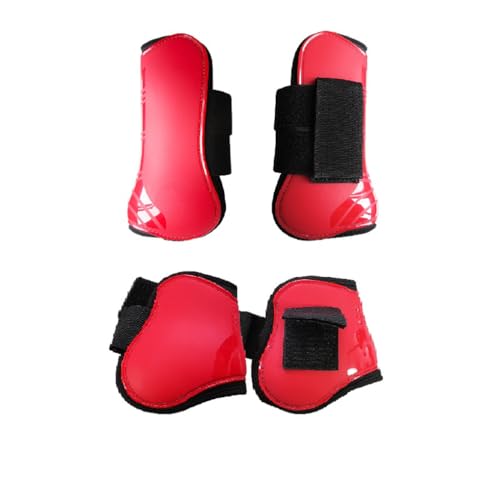 2yA npi n̂˃K[h 㓪 y ϖՐ ߉\ȕی iCt@Xi[t bh  XL