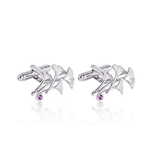 EODNSOFN Heren Business Bruiloft Copper Manchetknopen Creative Ginkgo Frans Shirt Mouw Nagel