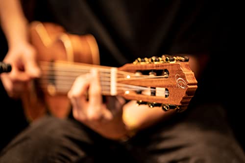 Ortega Guitars Guitare de Voyage électro-acoustique – Série Mini/Travel – Guitarlélé 6 cordes – Housse incluse – Acacia Massif (RGLE18ACA) - Les Beatles, Paul McCartney, John Lennon, RIngo Starr, George Harrison Ortega Guitars Guitare de Voyage électro-acoustique - Série Mini/Travel - Guitarlélé 6 cordes - Housse incluse - Acacia Massif (RGLE18ACA) – Image 6