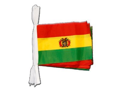 Guirlande drapeau Bolivie Digni de 5,9 mètres pour décoration extérieure