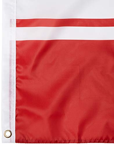 Drapeau Tampa Bay Buccaneers NFL pour décorer vos soirées match - 5