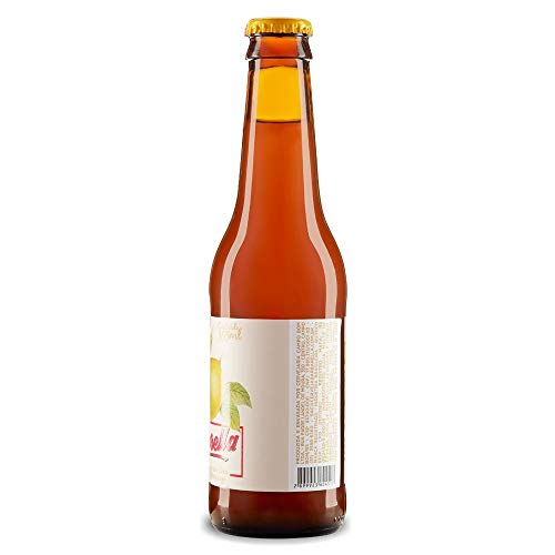 Cerveja Barbarella Fruitbier Maracujá 355 ml Barbarella 355 Ml
