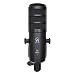 Golden Age Project D2 MKII Dynamic Cardioid Microphone