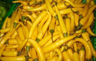 See full amazon price history chart for Creative Farmer Vegetable Seeds Thai Yellow Chili Pepper Seeds - Chillies Yellow Seeds Exotic Plants Seeds Home Garden Seeds Creative Farmer Vegetable Seeds Thai Yellow Chili Pepper Seeds - Chillies Yellow Seeds Exotic Plants Seeds Home Garden Seeds (B07N484LK7) Amazon Price History, Amazon Price Tracker