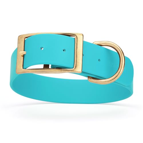 Image of Viper Biothane Heavy Duty Waterproof Dog Collar Strong Coated Nylon Webbing w /Solid Brass Hardware Odor-Proof Easy to Clean High Performance Fits Small Medium or Large Dogs, Sky Blue