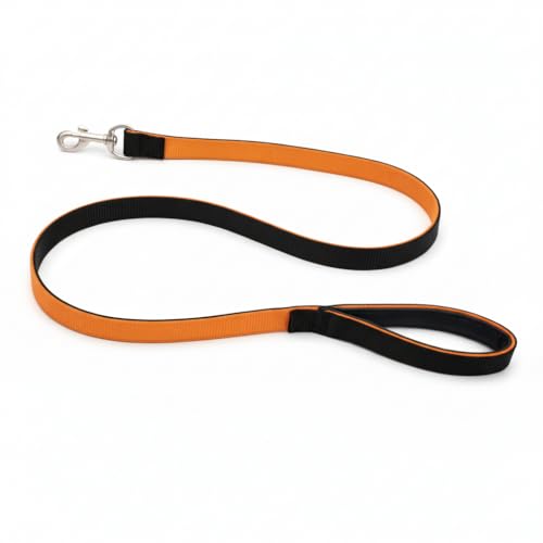 Image of Dog Leash with Padded Handle and Padded Collar Set | Adjustable Nylon Dog Collar & Heavy Duty Leash with Strong Metal Clip | Walking & Training Set for Small Medium Large Dogs