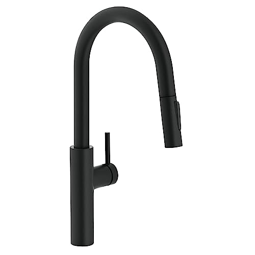 Franke PES-PD Pescara 1.75 GPM Single Hole Pull Down Kitchen Faucet - Matte Black