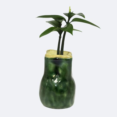 {×̐A uǉ _  (Ȃ) ̖؁v w[ xuВ (񂿂Ⴍ)vyyȂ  ȒP G-STICKz