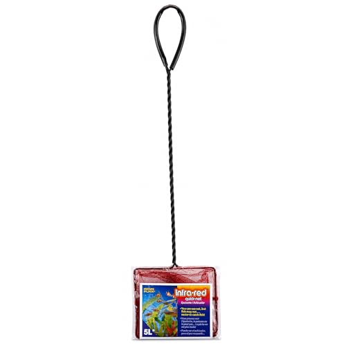 Image of Penn-Plax Infra-Red Quick-Net Aquarium Fish Net - 5x4 in Fine Mesh, 10 in Vinyl-Covered Braided Long Handle - Small Aquarium Cleaning Tool for Gentle Fish Handling - Freshwater & Saltwater Tanks - Red