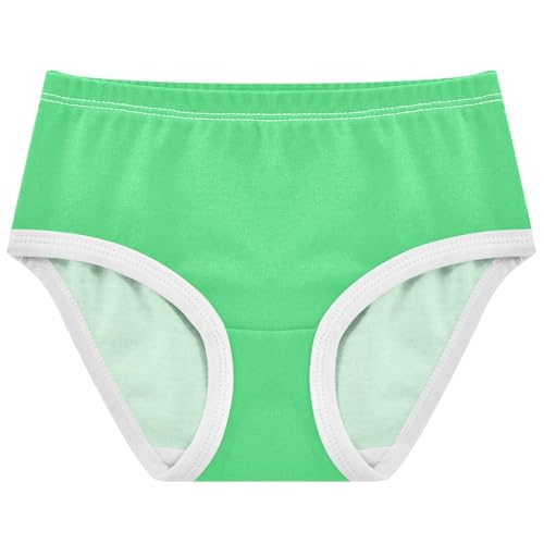 Joisal Turquoise Green Panties for Girl Toddler Girls Underwear Cotton Florals Briefs Underpants 2t