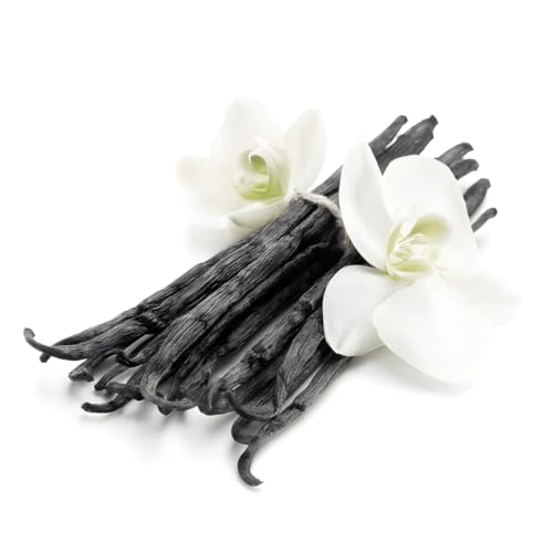 Vainas de Vainilla Bourbon de Madagascar XXL, 18/23cm, 3 Unidades 40-50g, Calidad Extra, Gourmet