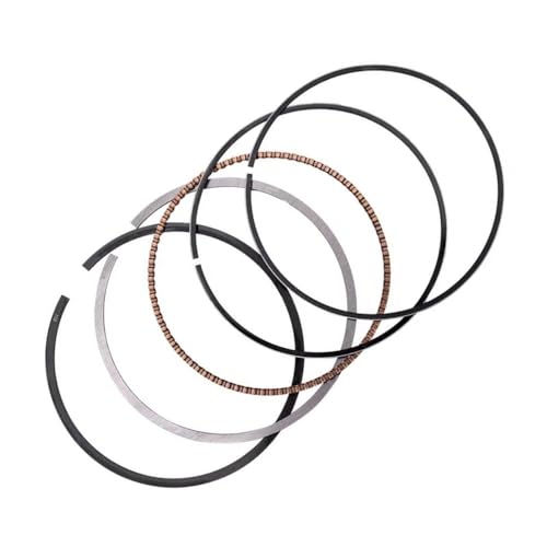 Réparer fuite huile CBR1100 avec anneaux de piston de moto 79mm