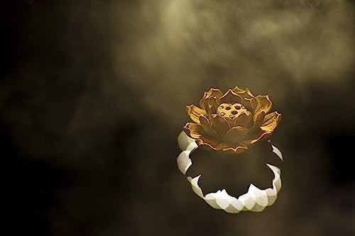 【灵界见闻】妻子为地狱道众生接骨治病(含音频 Audio) My Wife Cures Diseases for Sentient Beings in Hell Realm Podcast Por arte de portada