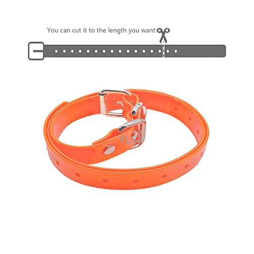 Dog Collar Strap For Most Of Electronic Training Shock Collar Receivers-Adjustable Durable Waterproof Odorless 3/4 Inch Collar Replacement For Barking Fence-Pet Tpu Collar Strap #TOP6