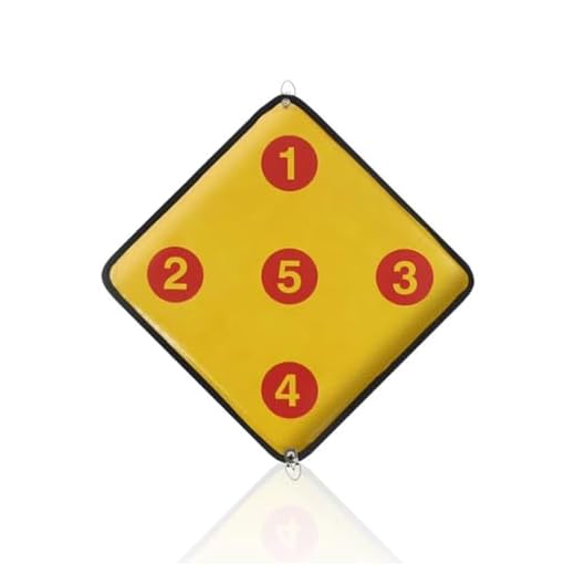 Diana de Esgrima con Cinco Dianas Herramienta Auxiliar de Esgrima Casera de Doble Cara Montada en La Pared Equipo de Esgrima Adecuado para El Entrenamiento de Esgrima de Niños y Adultos ( Espesor : Ye