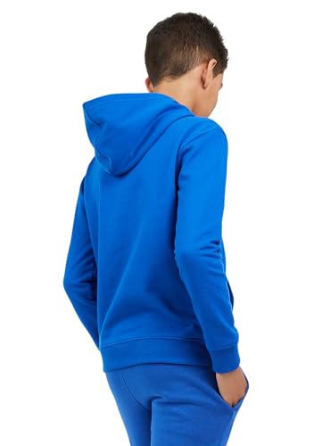 Image of Champion Boys' Boys Hoodie for Kids Sweatshirt Fleece Youth Pullover With Hood