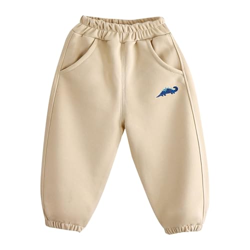 Kids Boys Loose Harlen Pants Elastic Waist Wide Leg Sweatpants Casual Straight Leg Jogger Trousers with Pocket