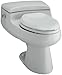 Kohler K-3597-95 San Raphael Comfort Height Pressure Lite 1.0 GPF Elongated Toilet, Ice Grey