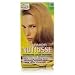 Nutrisse Md Nat Blnd Size 1ct Garnier Nutrisse #80 Medium Natural Blond