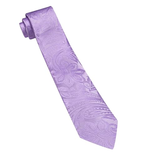 Image of Barry.Wang Paisley Tie for Men Silk Woven Necktie and Tie Clip Set Wedding Party Business Formal