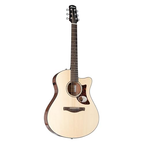 Ibanez AAM300CE �A�h�o���X �A�R�[�X�e�B�b�N �I�[�f�B�g���A�� �A�R�[�X�e�B�b�N �G���L�M�^�[ - �i�`������