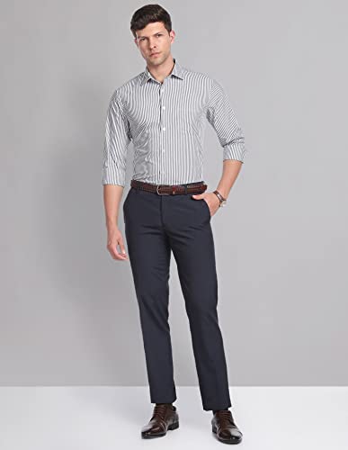 Image of Arvind AD Men Regular Fit Formal Shirt