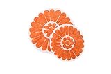 Chesapeake Merchandising Bursting Flower 2-Piece Bath Rug Set, White/Coral