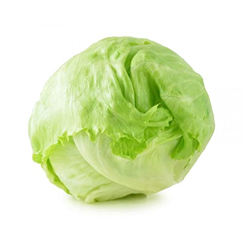 Lettuce Iceberg Spain 400 g Approx.