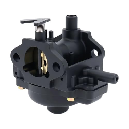 Carburador de quitanieves compatible con modelos CCR3650 CCR2450 Sn 6