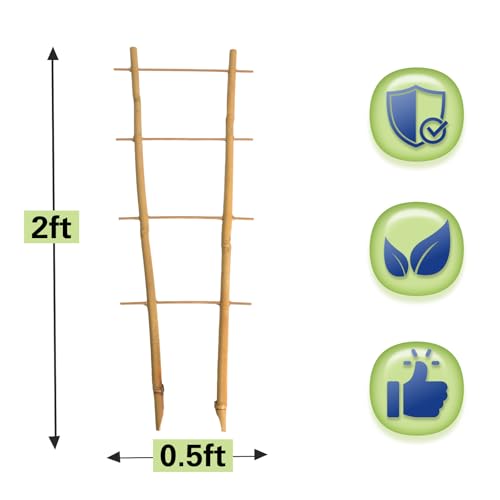 Save 20% on a 3-Pack of Natural Bamboo Plant Trellises - Image 2