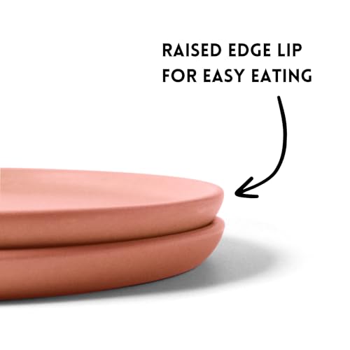 Image of Ceramic Dinner Plates, 2 Pcs | Rim Plate for Easy Eating | Microwave, Oven, Dishwasher Safe | Set of 2 Ceramic Plates for Dinner | Handmade | (Flamingo Pink, Dinner Plate)