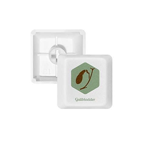 Keycaps PBT Gallbladder pour clavier mécanique - Modèle OEM blanc sans marquage