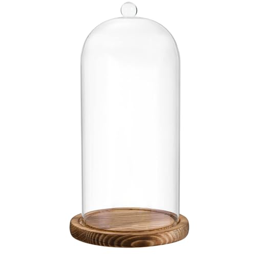 FISDEN Glass Cloche Dome, 5 x 10 Inch Glass Bell Jar with Wood Base, Clear Display Case for Flower, Plant,Fairy Lights, Collectibles, Tabletop Decor